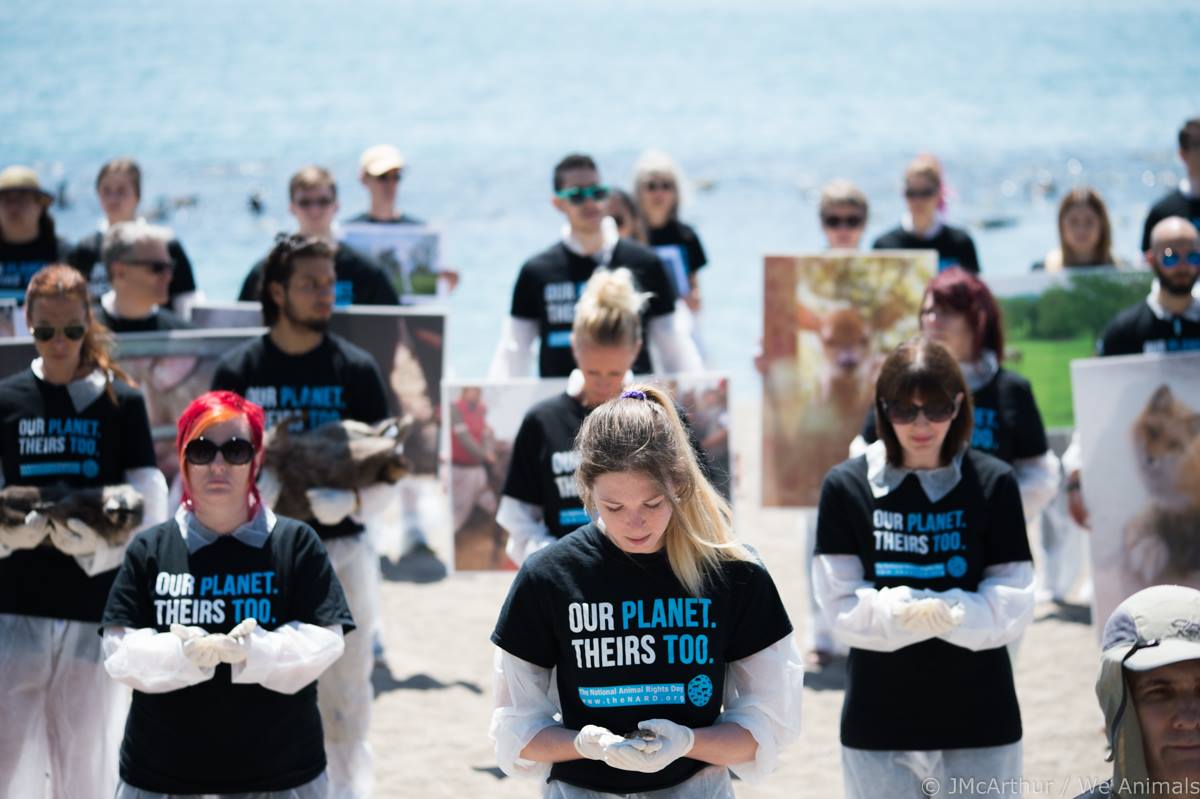 13323298_10157022603200422_8308840611228596384_o