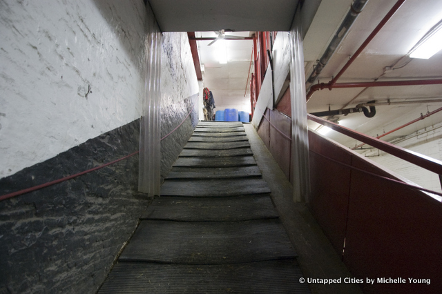 Clinton-Park-Stables-Central-Park-Horse-and-Carraige-Ban-Bill-de-Blasio-NYC_13