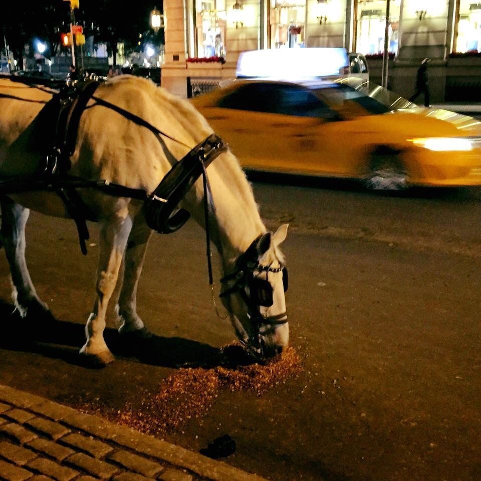 IMG_20170411_193113(1)