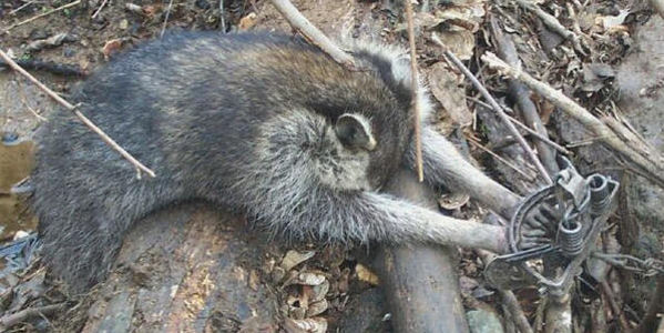 867724-1454434108-wide